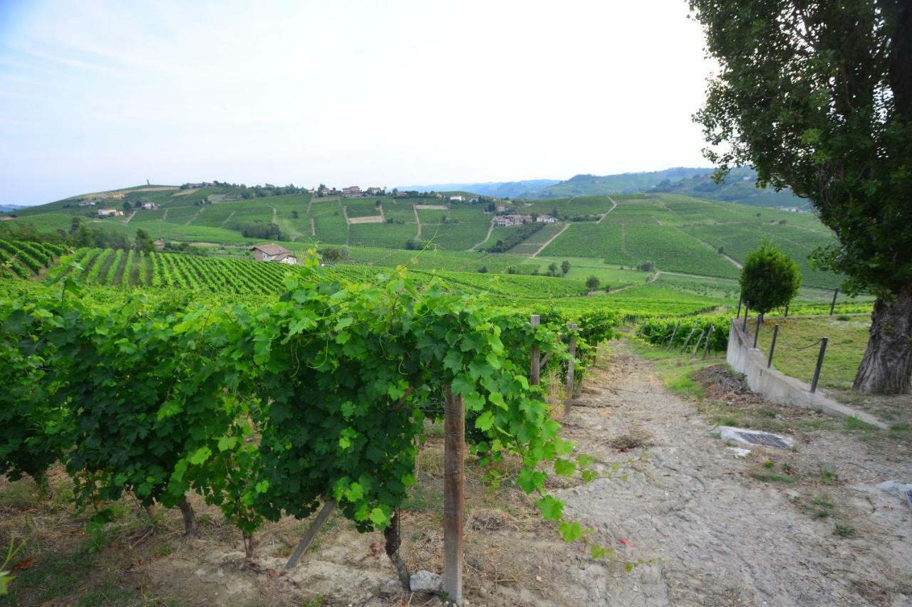 I Grappoli Villa Canelli Luaran gambar