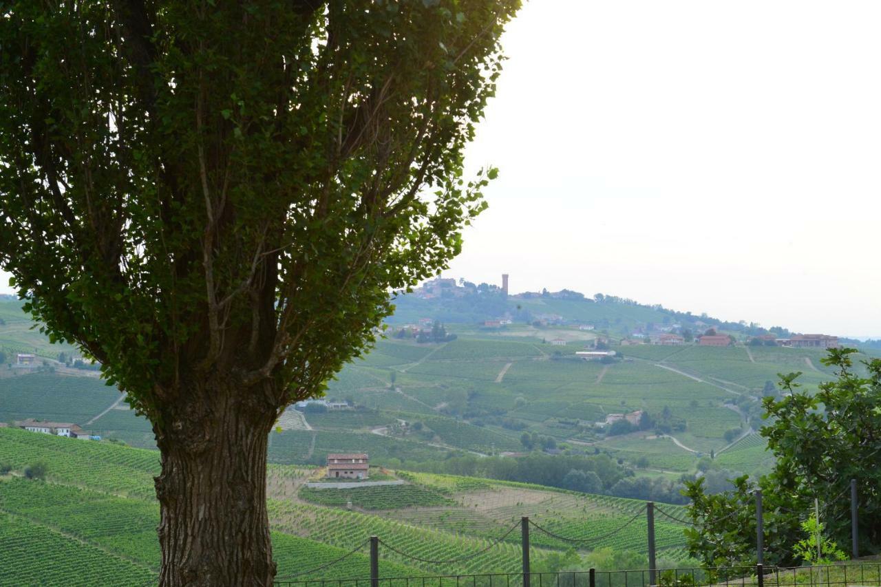 I Grappoli Villa Canelli Luaran gambar